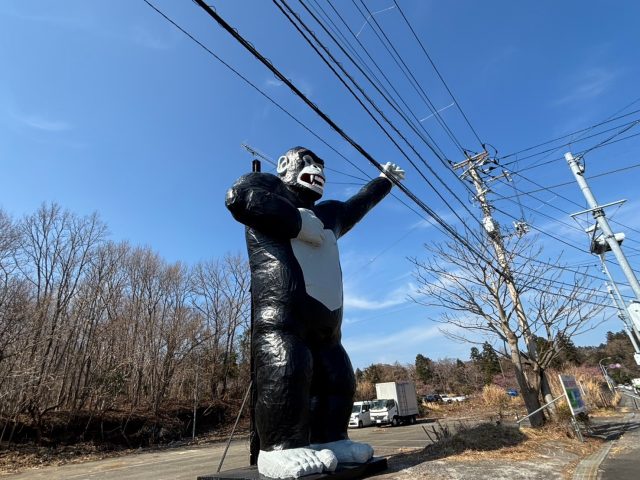 【伊豆高原店Openのお知らせ】